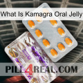 What Is Kamagra Oral Jelly new12